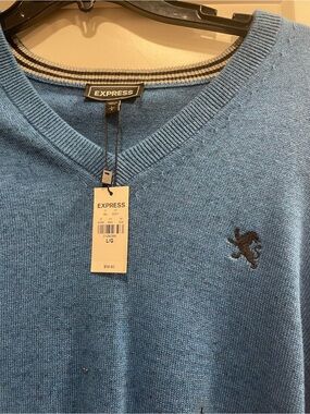 Express Men's V-Neck Sweater in Light Blue with Embroidered Logo